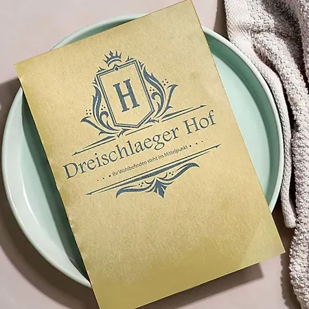 Отель Dreischlaeger Hof Гельзенкирхен